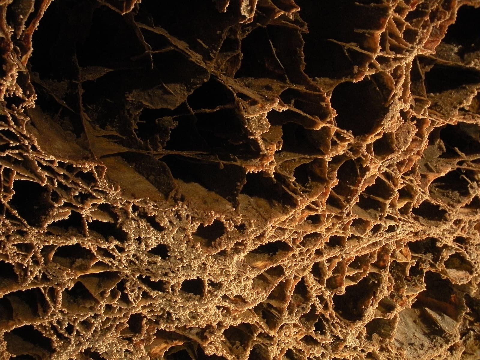 Wind Cave National Park
